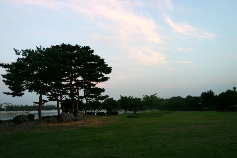 2406554755D53023328A75