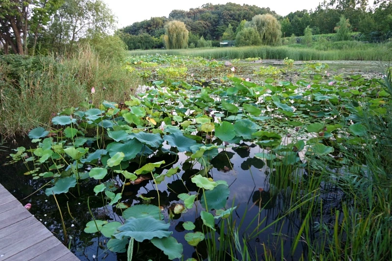 2701E74755D53016347351