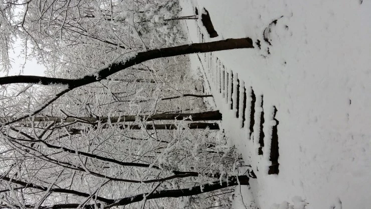 20151203_115548.jpg?type=w2