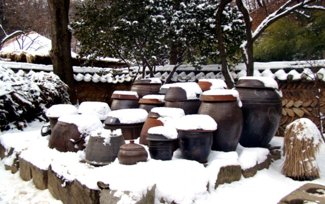 20200124_125240.png?type=w2