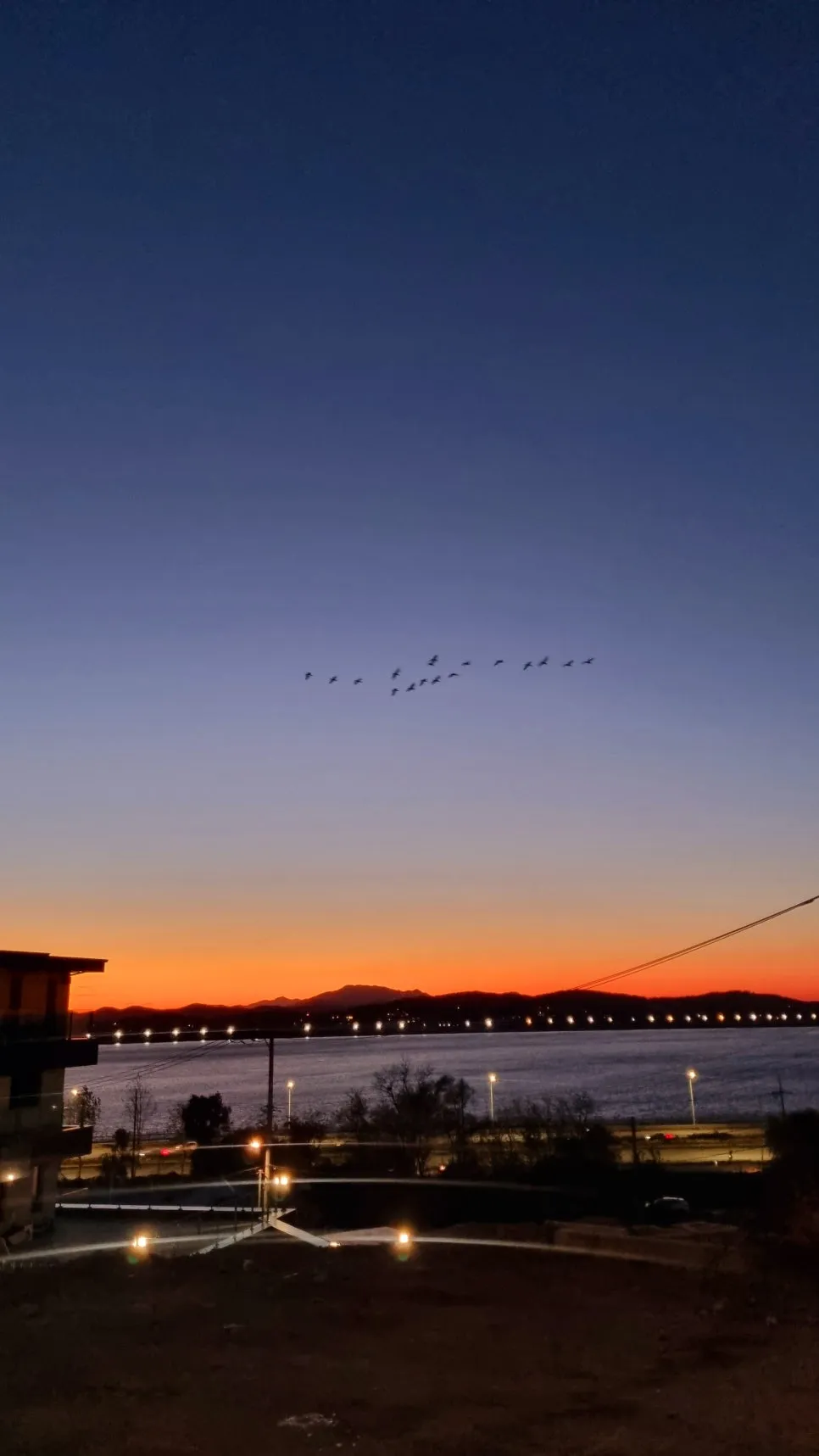 20241117_175245.jpg?type=w966