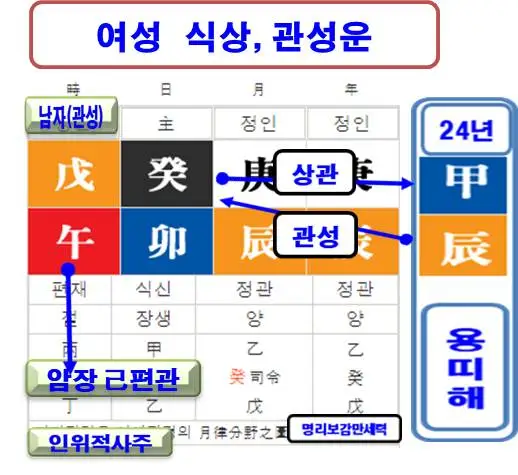 %EC%97%AC%EC%84%B1%EC%8B%9D%EC%83%81%EC%9A%B4.jpg?type=w580