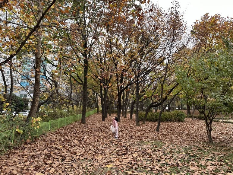 IMG_1256.jpg?type=w773