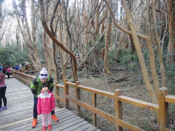 99CC673359F64D99103256