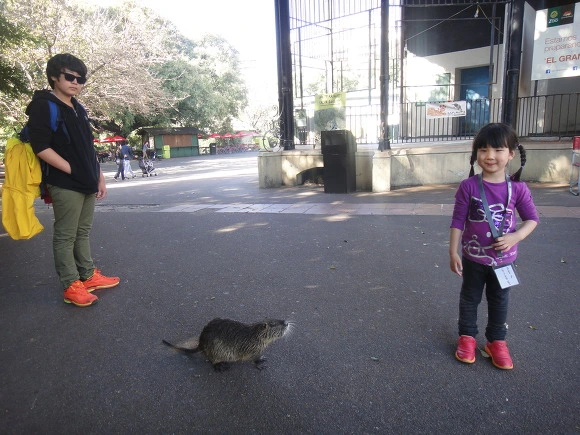 9965DD3359EF00D91793A0