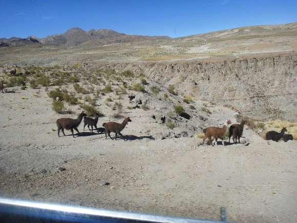 995D523359FA825A0BB464