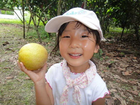 9967AF3359FC68982168EA