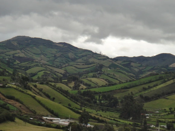 9911643359FFE93132D46D