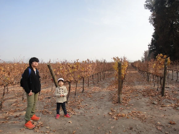 9984523359F8402B0F0549