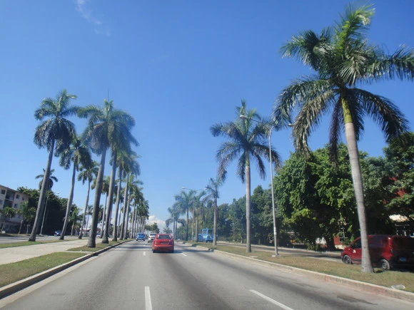 99525D3359F70E6C24E469