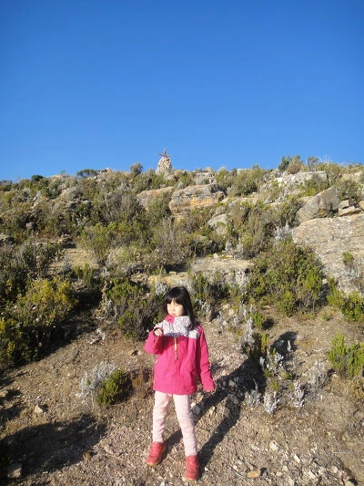 9995353359FACAC22A5C6E