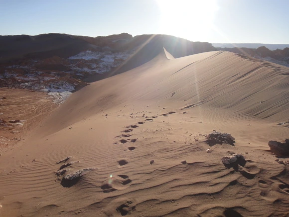 99C1A63359F92E903A5364