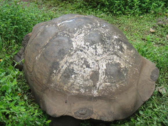 990DE03359FB5E6E0B4E84