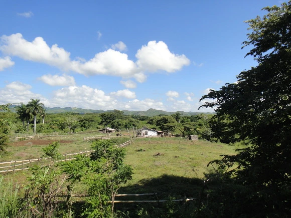 998DD33359F71E200B7F32