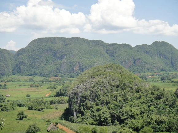 99E94C3359F7C7B5320BD8