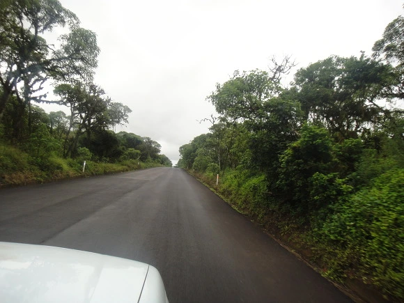 99A71F3359FB5B7F0C8B73