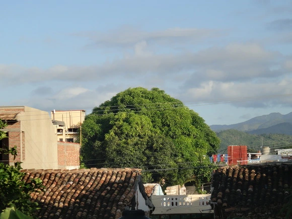 9912663359F6E0A522C4DC