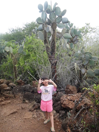 99AD843359FB65BB14DE81