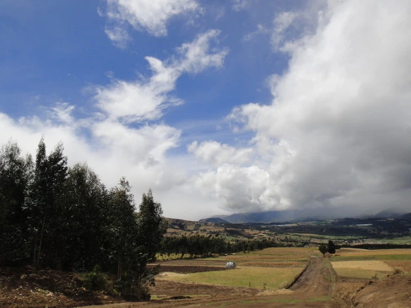 990E573359FBF8E50A095C