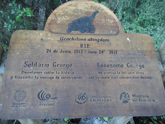 99407D3359FB566A0182D0