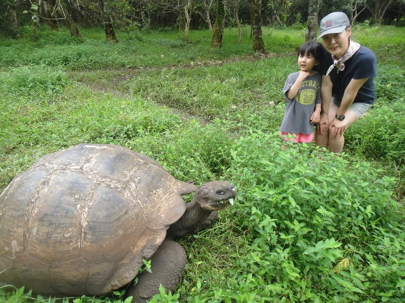 9963503359FB5E730B4303