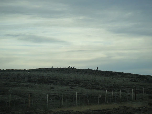 99AA6A3359F671F323B789