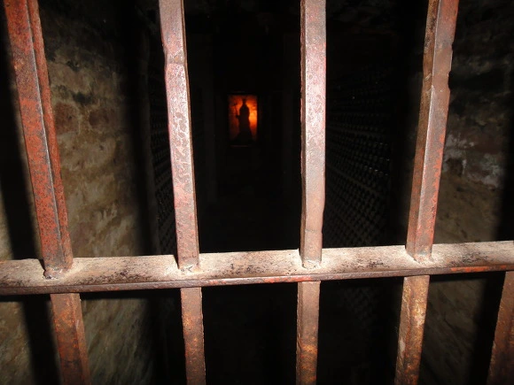 99EDDD3359F84449046C66