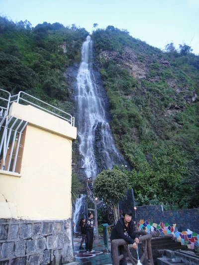 99D6533359FFD1DD07C184