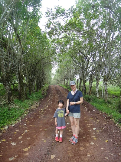 9988173359FB6B851A246B