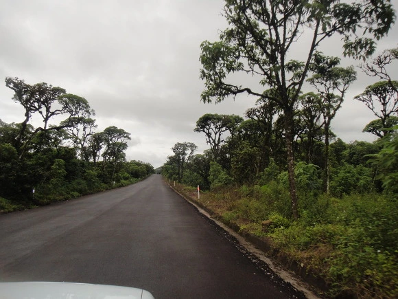 9906A23359FB5E5E0C3B64