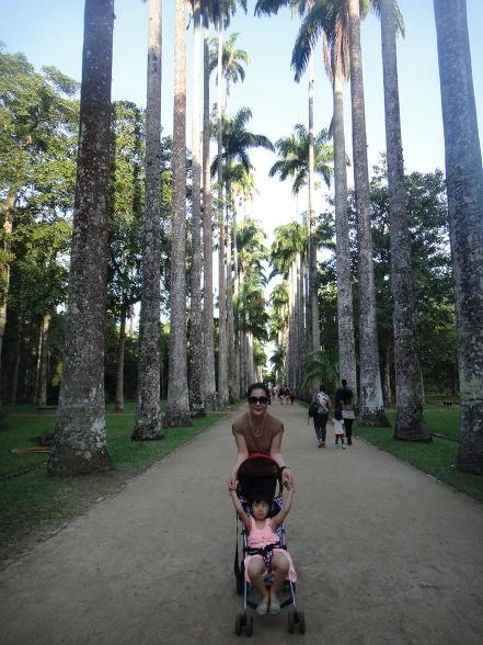 213D27385614514D22C516