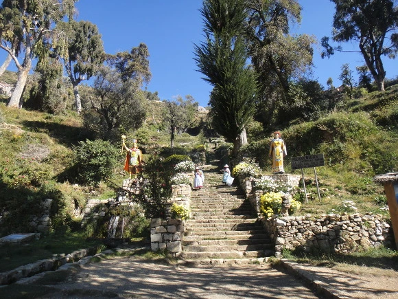 998F703359FACD6F15E401