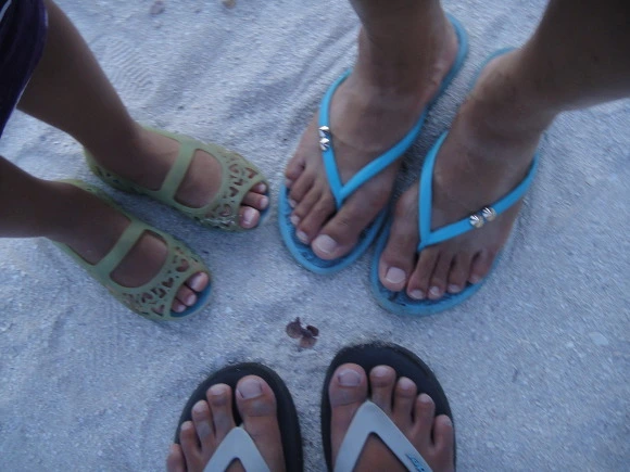 9979D23359F7174F0AF6EA