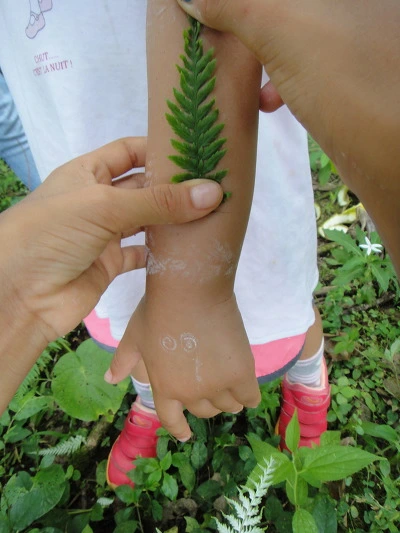 99CD0D3359FBFEAE0930F5