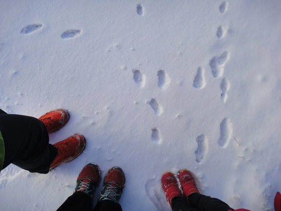 9918293359F5E9C8079C88