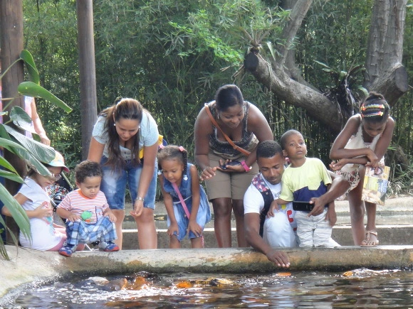 99EA7A335A00646D020DD6