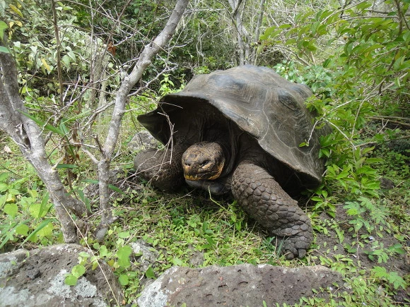 99DB18335A0589CA22C51B