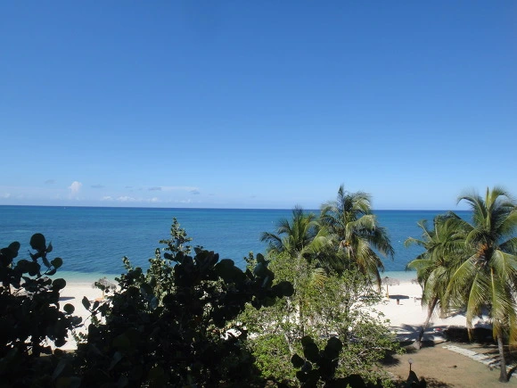 99DD173359F6DD582CEBEF