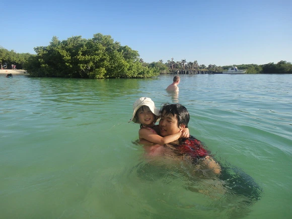 99F6E23359FB8F2F053ED5