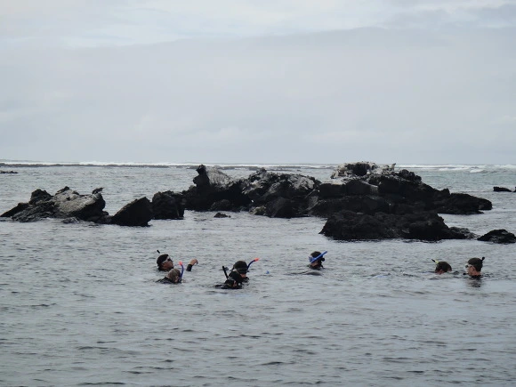 999C7A3359FB75BA1E0E6B