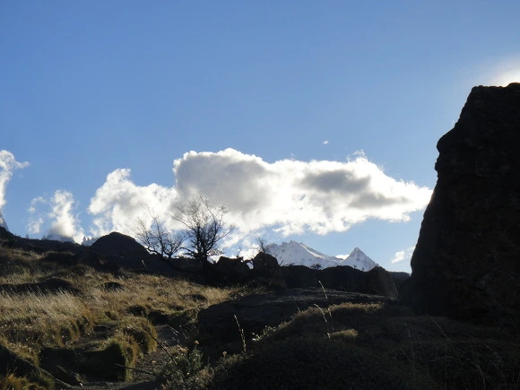 99C3B53359F5F99209583D