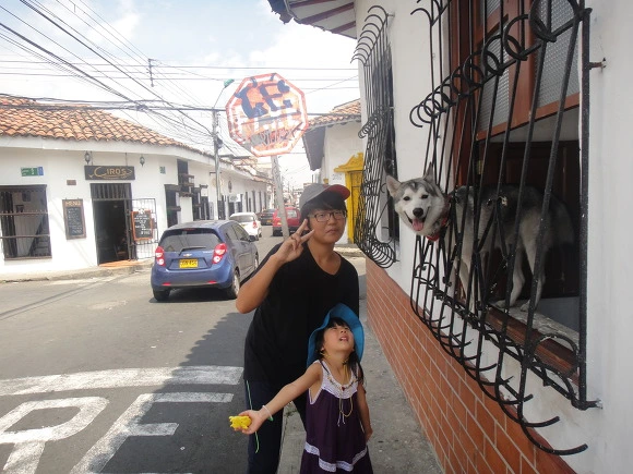 9966DF335A0041B137ECE0