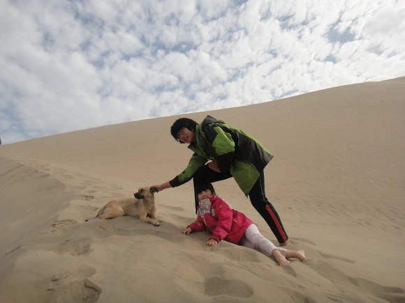 9967DA3359FB40DD1311CB