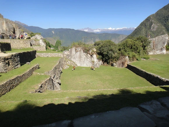 99150A3359FB222505814C