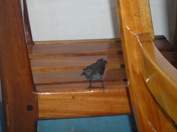 99A60A3359FB5A1107C51E