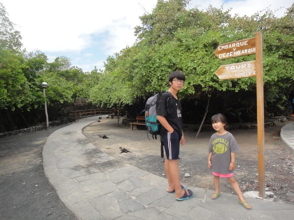 9914153359FB6DF71D81A8