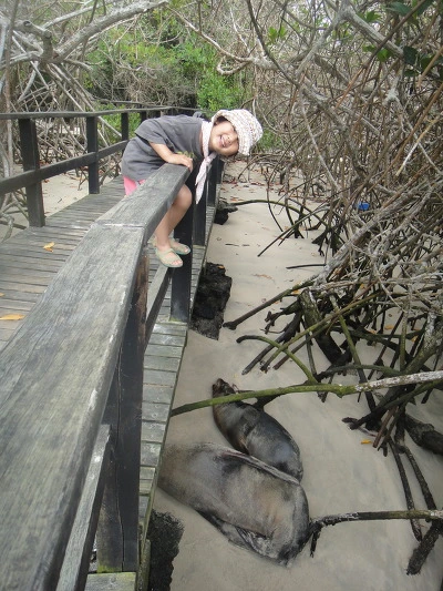 99B1FB3359FB7D89260BDB