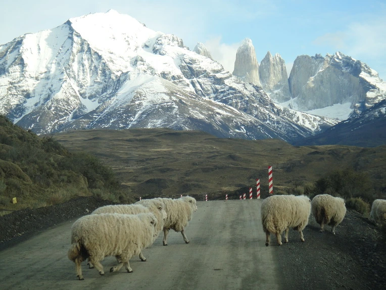 99D8CA3359F6754332A806