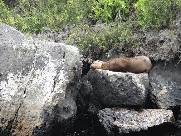 9976C63359FB62B0107A2F