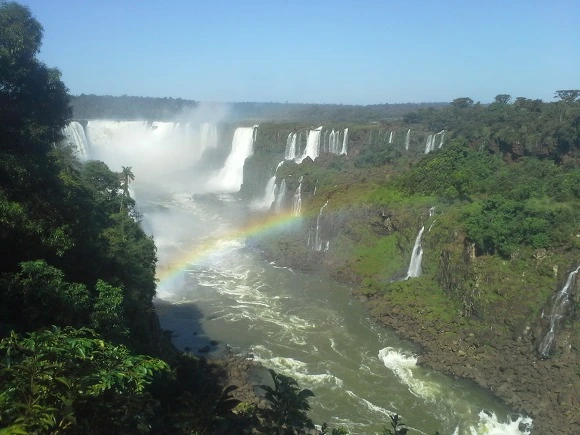 99C2003359EE90881D0B06